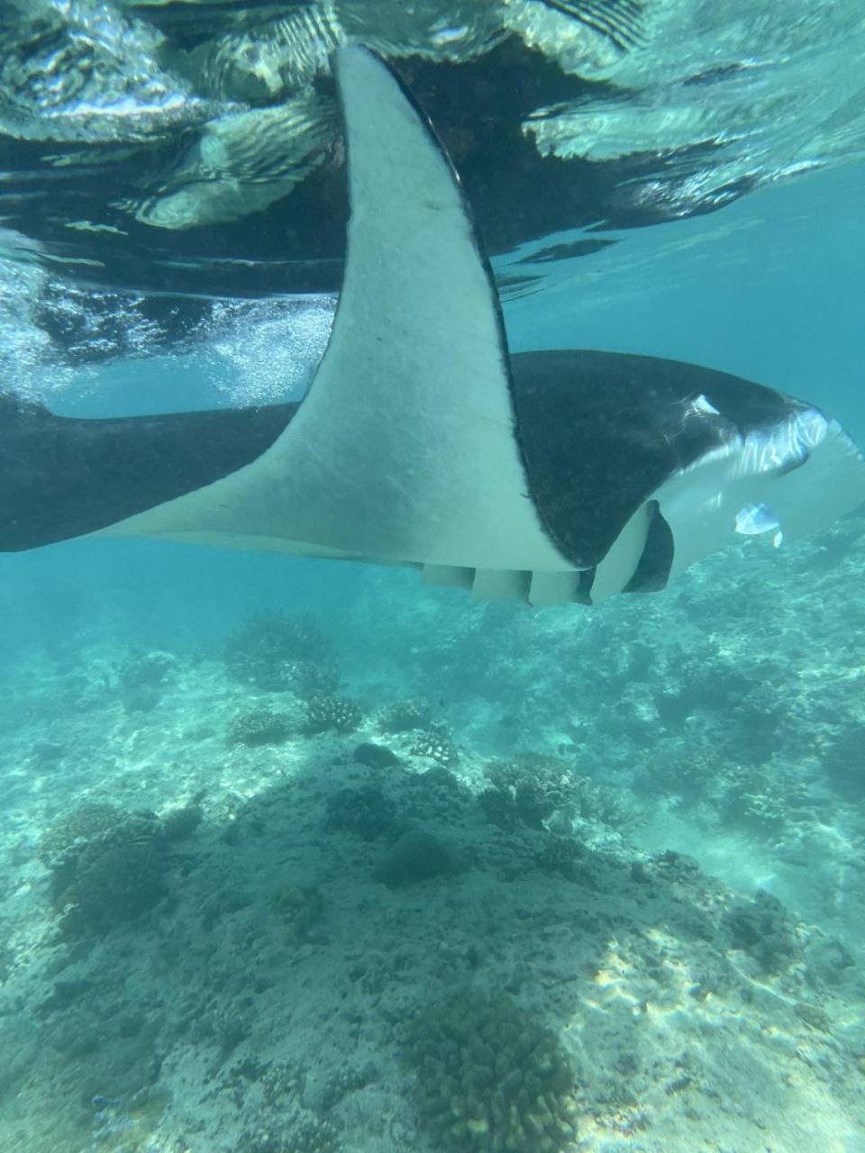 Mamello Beach Club Maldives Feridhoo 외부 사진