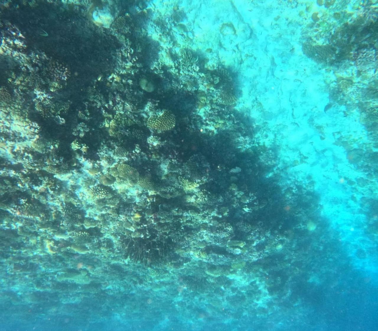 Mamello Beach Club Maldives Feridhoo 외부 사진